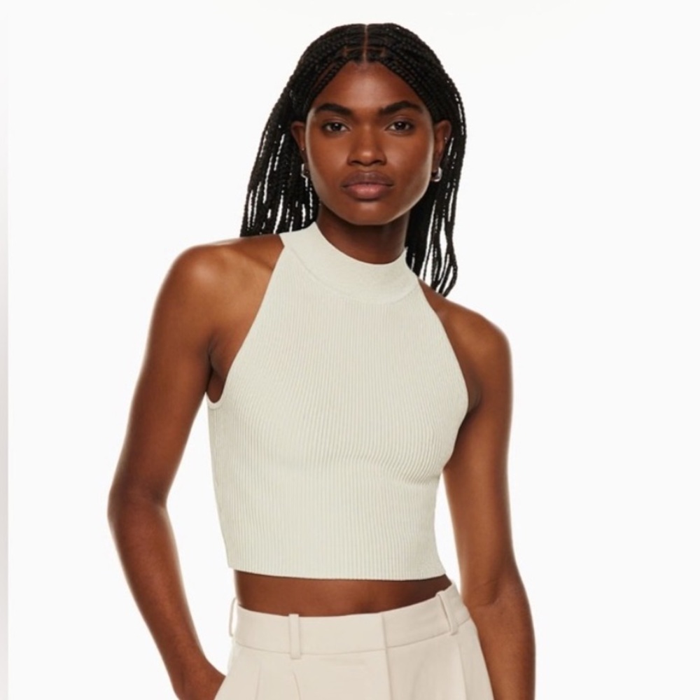 Aritzia Babaton Sculpt Knit Tan Small Ribbed High Neck Cropped Top
